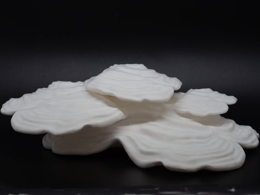 3D Printed Wall Mounted Mushrooms